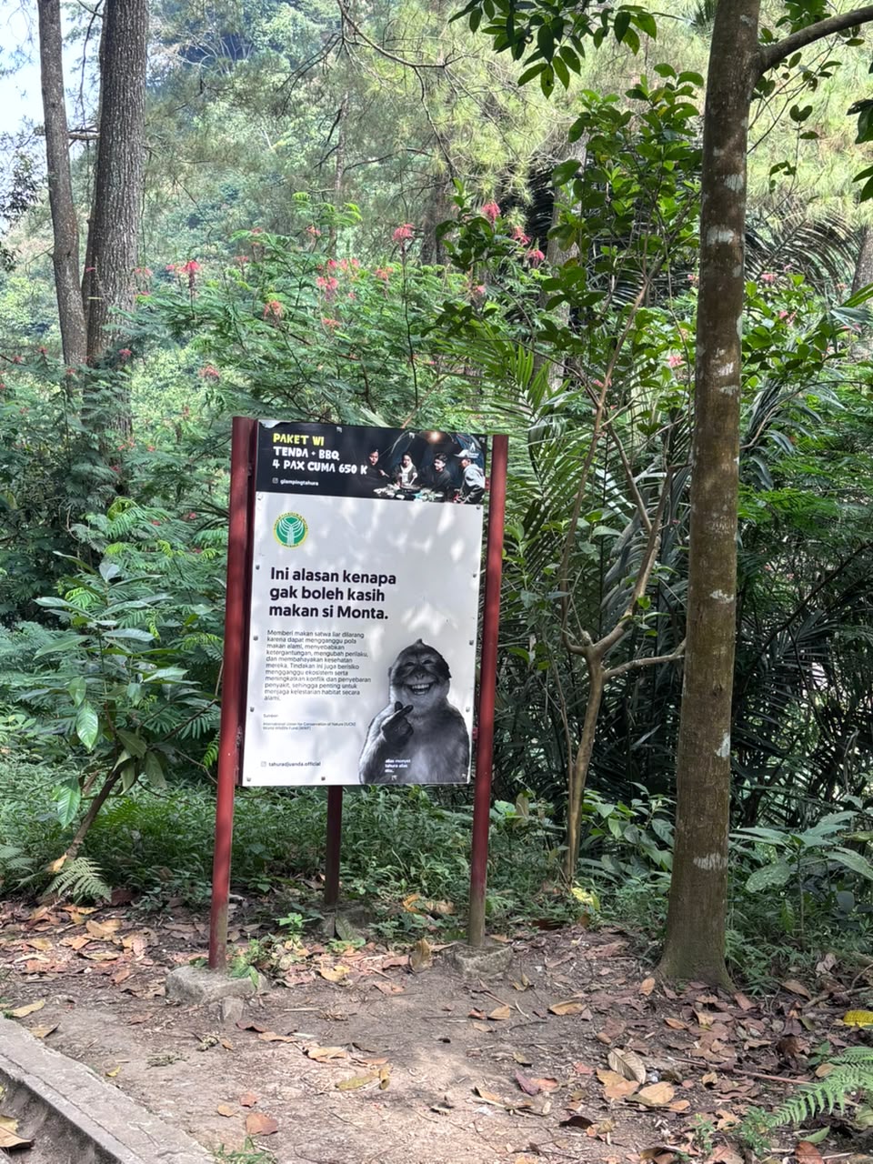 📁 Hiking 14